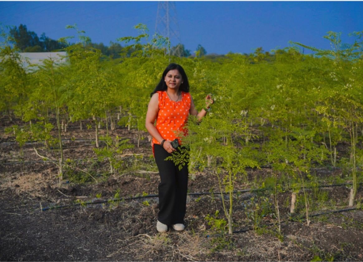 Moringa farm at Yash Universal