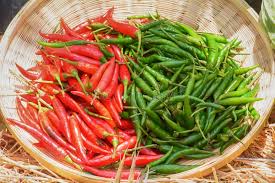 Fresh Green and Red Chilli